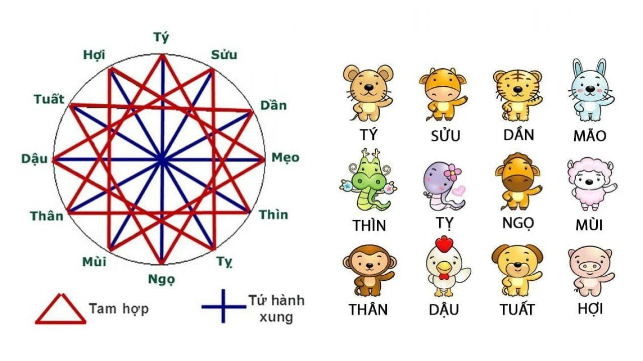 Tuổi Dần hợp tuổi nào theo tam hợp và lục hợp 