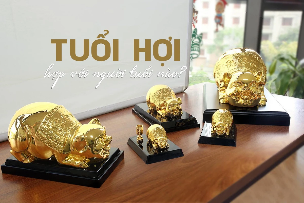 Tuổi Hợi hợp với tuổi gì?
