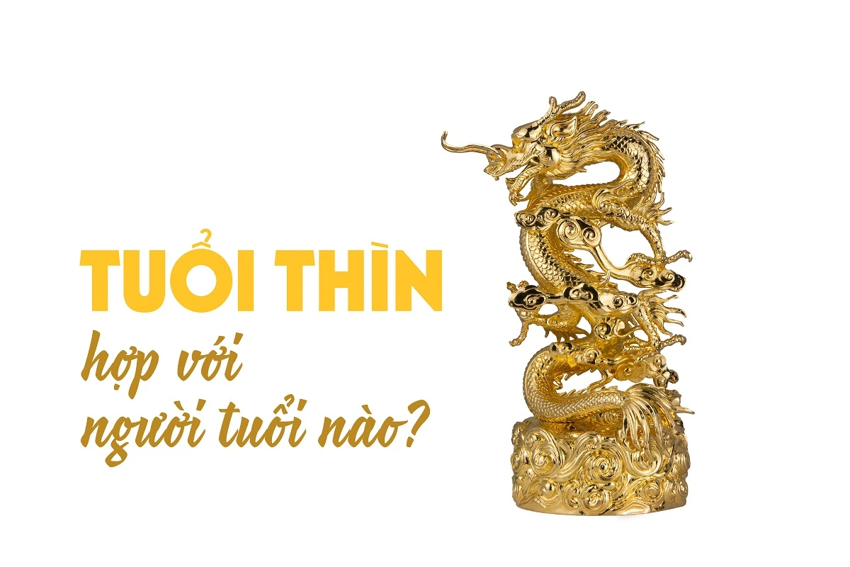 Tuổi Thìn hợp với người tuổi gì?