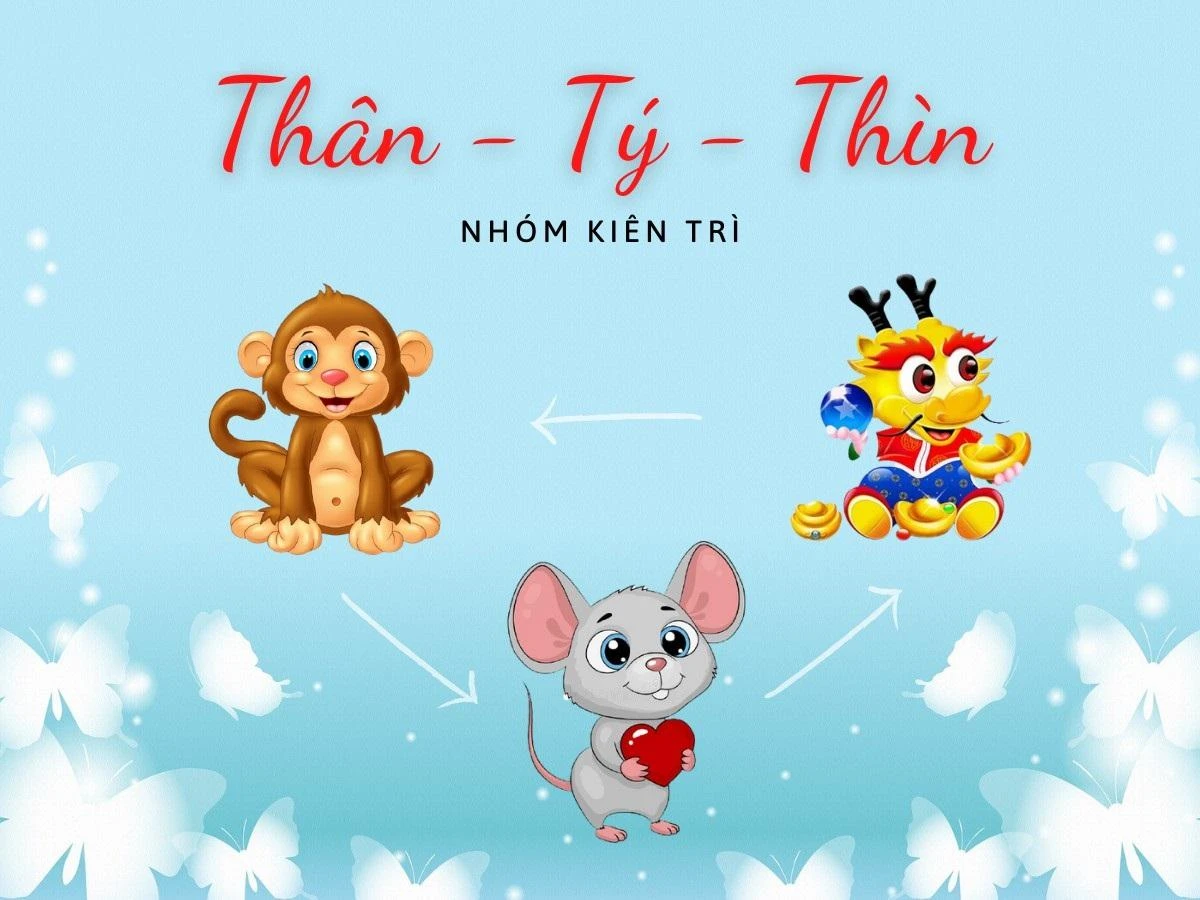 Nhóm tuổi Thân-Tý-Thìn trong phong thuỷ 