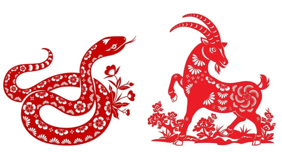 Tử vi tuổi Tỵ trọn đời