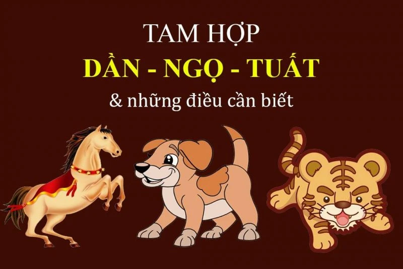Tuổi Dần hợp làm ăn với tuổi Ngọ, Tuất, và Hợi 