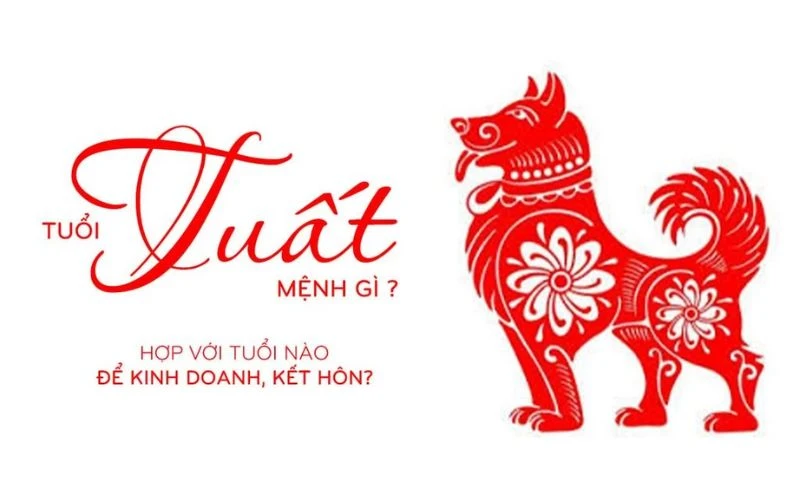 Tuổi Tuất hợp với tuổi nào trong kinh doanh làm ăn