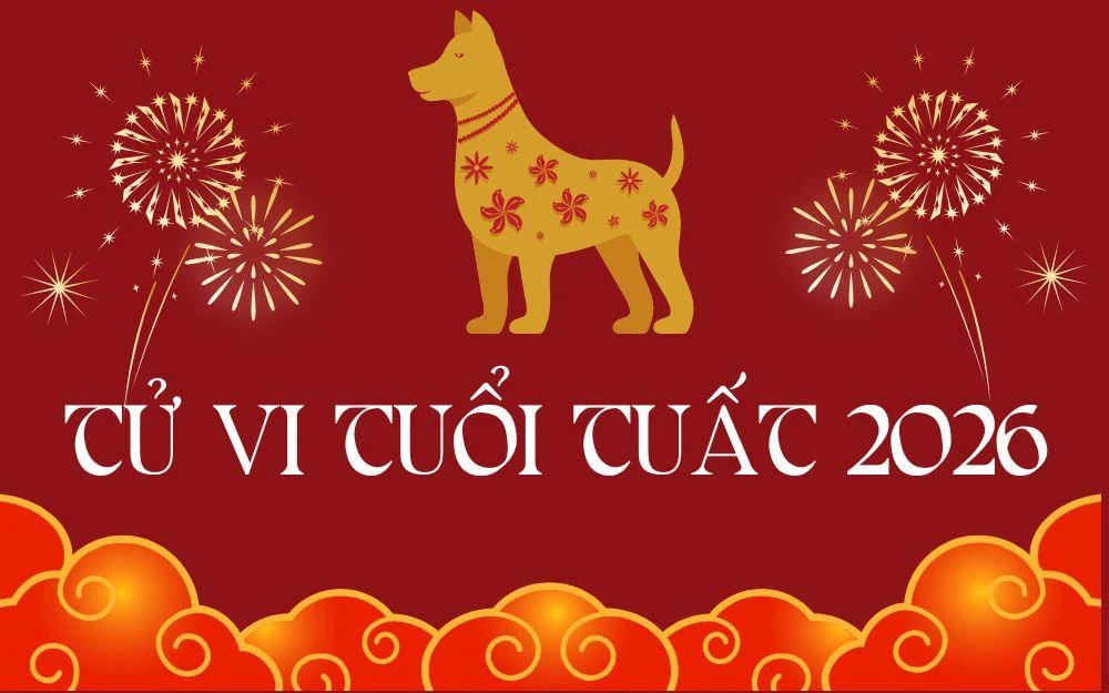 Xem tử vi tuổi Tuất 2026 có gì mới?