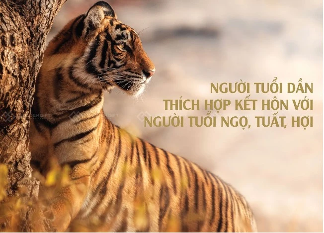 Tuổi Dần hợp kết hôn với người tuổi Ngọ, Tuất, Hợi