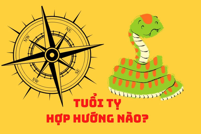 Tuổi Tỵ hợp hướng nào để phát tài, phát lộc?