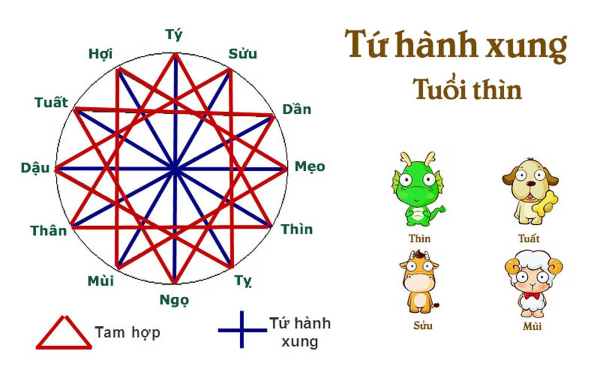 Tứ hành xung tuổi Thìn 