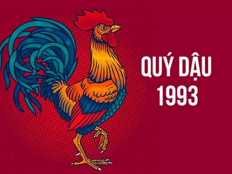 Tử vi tuổi Quý Dậu 1993 năm 2026
