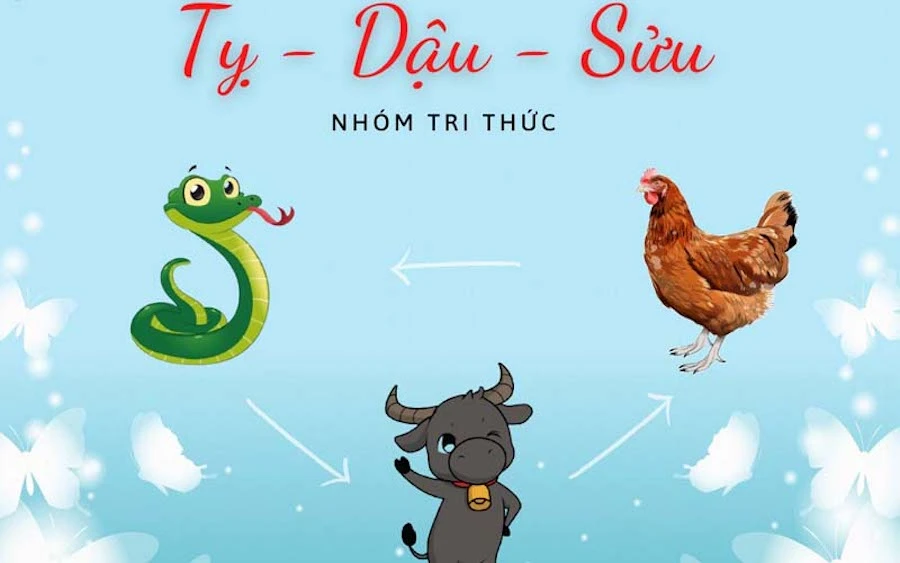 Tuổi Tỵ hợp, khắc nhóm tuổi nào?