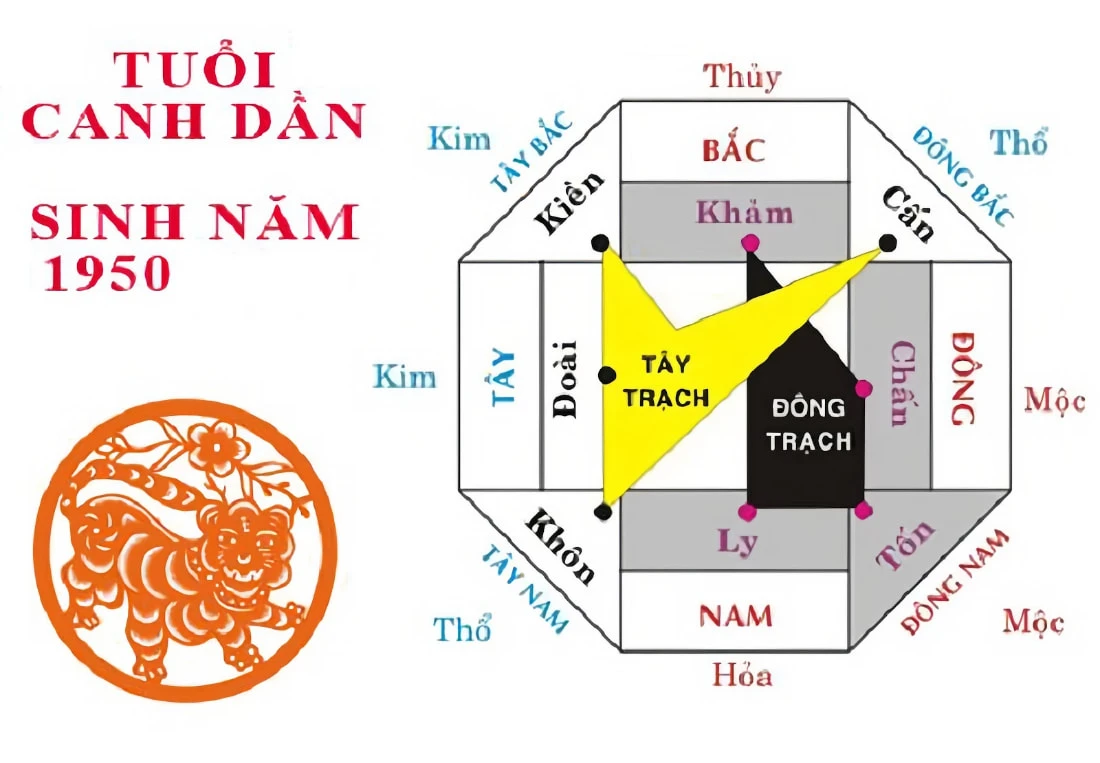 Tuổi Canh Dần 1950 hợp hướng, tuổi nào?