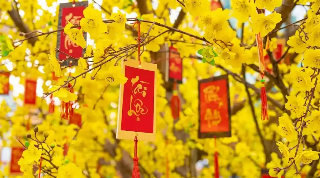Xem tử vi tuổi Dần năm 2026 chi tiết cho nam mạng và nữ mạng