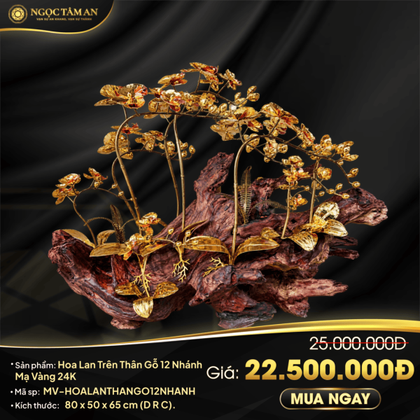 Hoa Lan Trên Thân Gỗ 12 Nhánh Mạ Vàng 24K