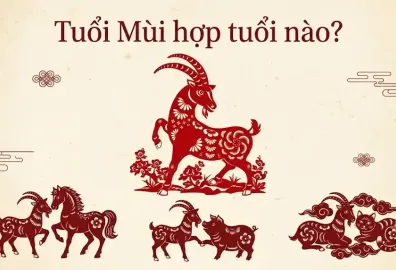 Tam hợp Hợi Mão Mùi, tuổi Mùi hợp với tuổi Heo và tuổi Mèo 